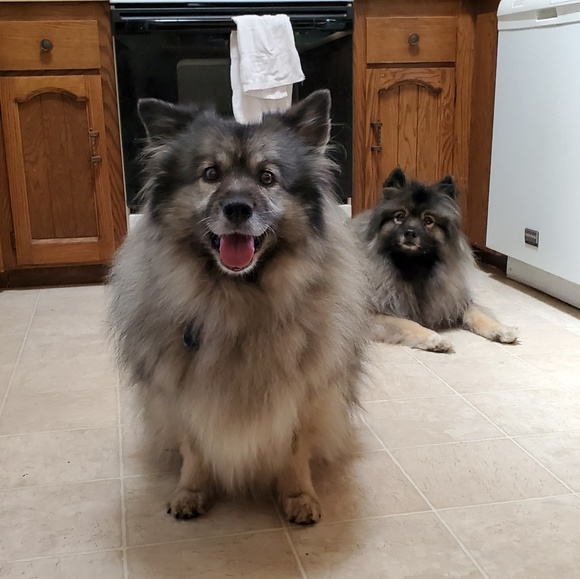 Meet your Posher, Nady - Picture 2 of 6